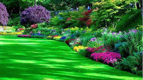 landscaping pictures & ideas|landscape backgrounds.